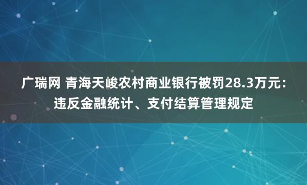 广瑞网 青海天峻农村商业银行被罚28.3万元：违反金融统计、支付结算管理规定